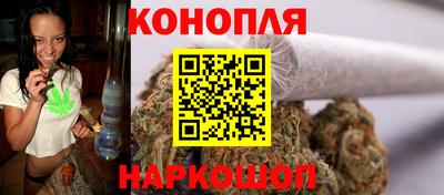 молекула духа Пугачёв