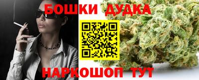 молекула духа Пугачёв