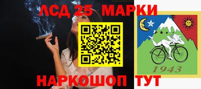 молекула духа Пугачёв