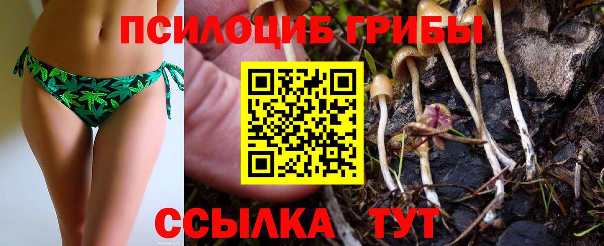 Галлюциногенные грибы Psilocybe Севастополь