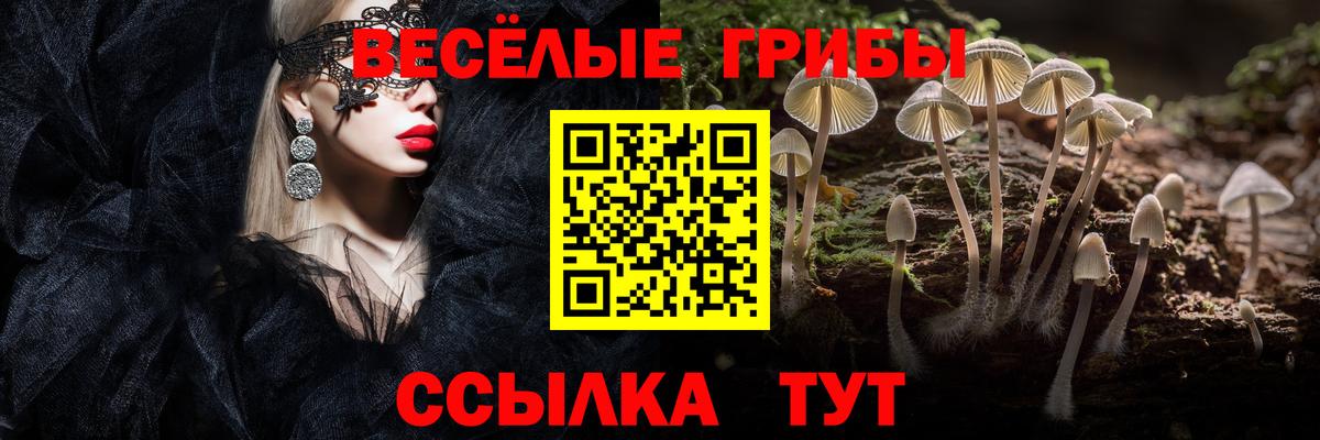 Севастополь  Псилоцибиновые грибы Psilocybine cubensis  Вход с VPN  Псилоцибиновые грибы Cubensis 